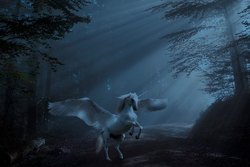 Unicorn Meadows Landscape